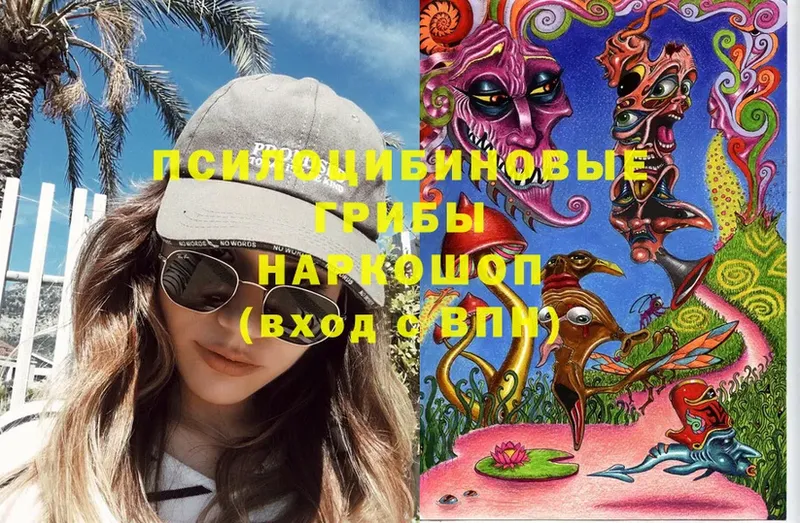 Псилоцибиновые грибы Psilocybe  Обнинск 